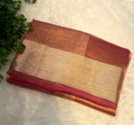 Orange Pure Tissue Organza Saree 11