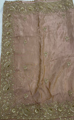 Baby Pink Shimmer Designer Saree