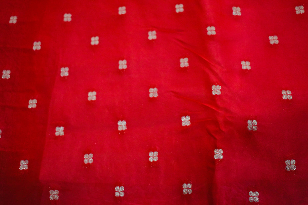 Red Chinnon Crepe Flamingo Saree