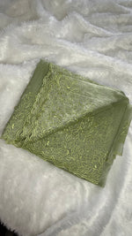 Pista Green Embrodiary tissue Saree