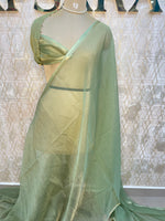 Pista Green Tissue n Organza Fusion Saree 73