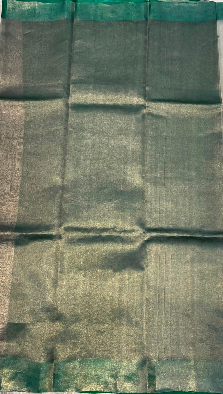 Metallic Silver n Green Pure Tissue Organza Saree 11
