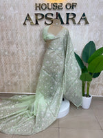 Pista Green Organza Floral Embroidery Saree 29