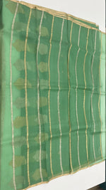 Pista Green Pure Kora Designer saree 02