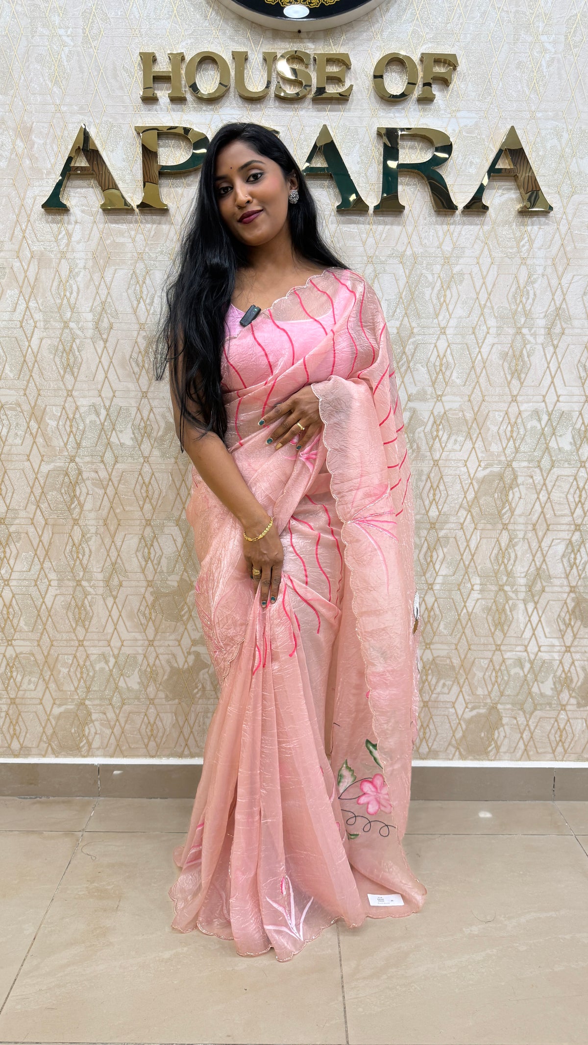 Baby Pink Crush Tissue Hand Painted Saree 27