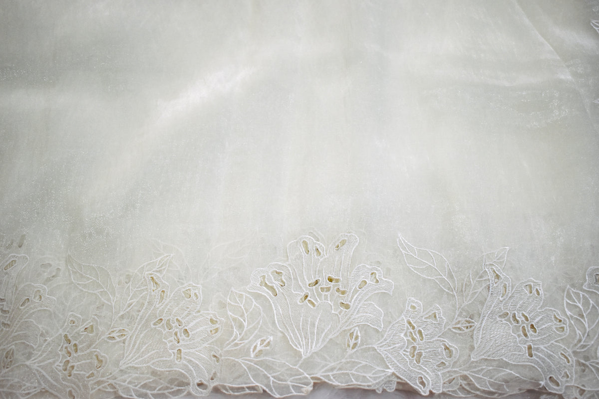 Creamish white Embrodiary Organza Saree