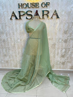 Pista Green Tissue n Organza Fusion Saree 73
