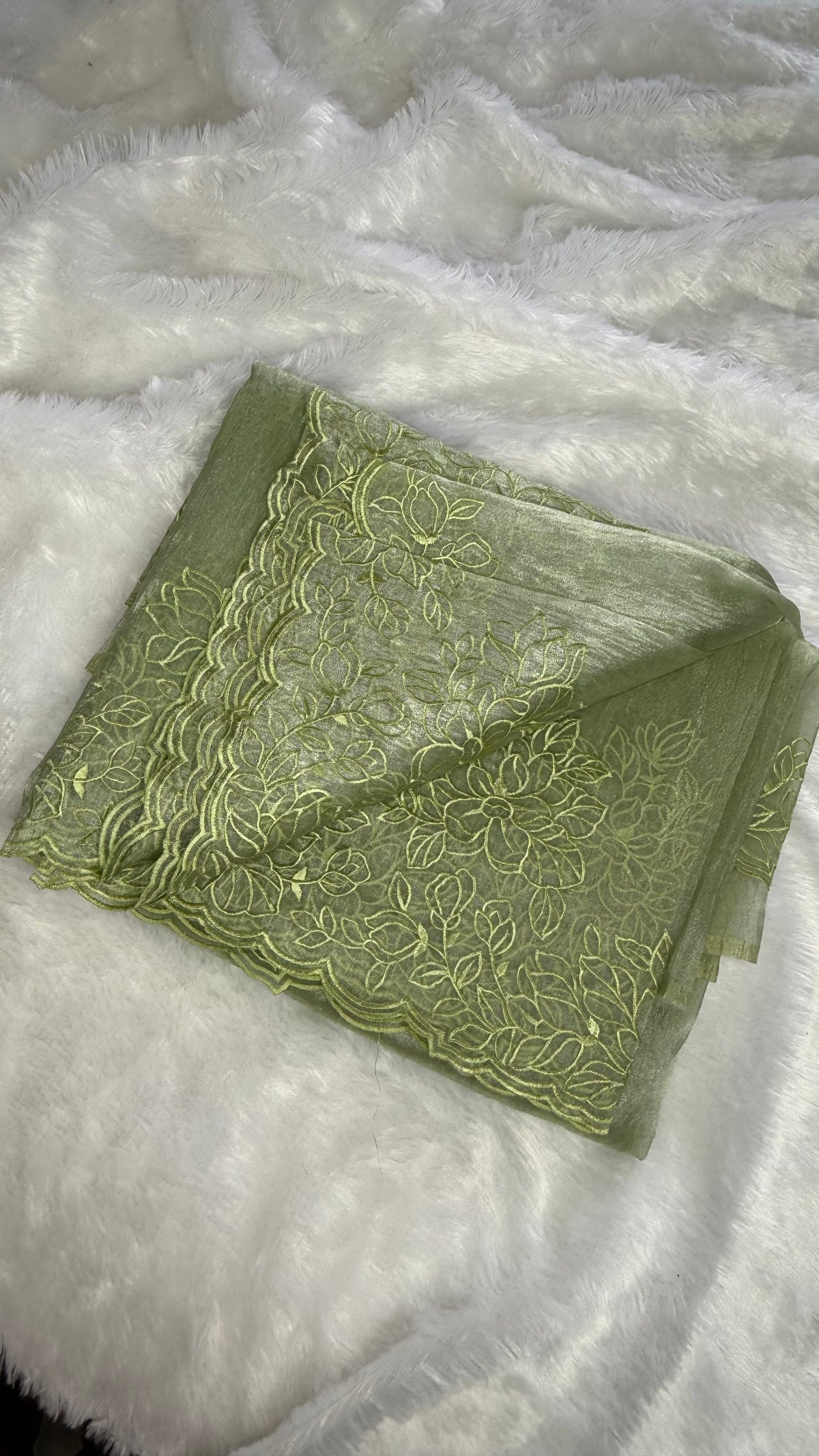 Pista Green Embrodiary tissue Saree